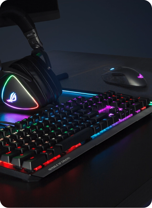 Gaming Accessories